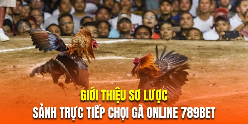 Giới thiệu sơ lược về sảnh trực tiếp chọi gà online